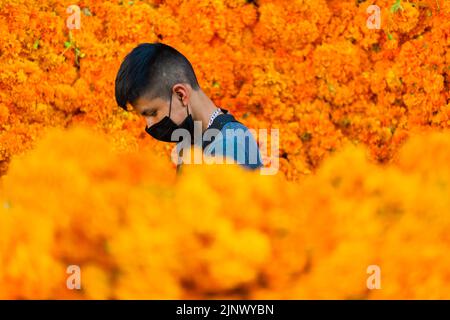 Un vendeur mexicain vend des piles de fleurs marigold (Flor de Muertos) pour les célébrations du jour des morts à Mexico, au Mexique. Banque D'Images