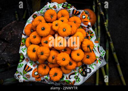 Les citrouilles mexicaines (Calabaza) sont vendues pour les célébrations du jour des morts sur le marché de Mexico, au Mexique. Banque D'Images