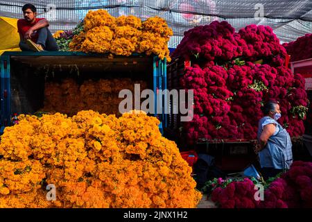 Les agriculteurs mexicains vendent des piles de fleurs de marigold (Flor de Muertos) pour les célébrations du jour des morts à Mexico, au Mexique. Banque D'Images