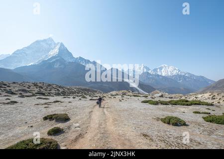 Vue de Kala Patthar de l'himalaya montagnes avec de beaux nuages sur le ciel et le glacier de Khumbu, chemin vers le camp de base du Mont Everest, vallée de Khumbu, Sagarmatha Banque D'Images