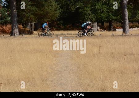 Les cyclistes qui ne se sont pas découragés par le trajet de chaleur à travers Richmond Park dans le sud-ouest de Londres - août 2022 Banque D'Images