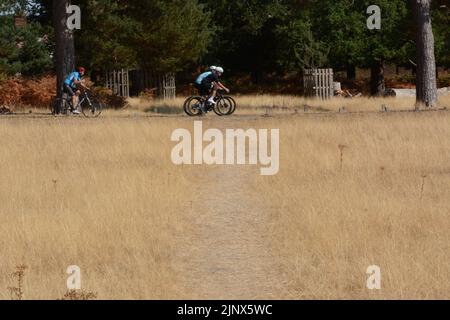 Les cyclistes qui ne se sont pas découragés par le trajet de chaleur à travers Richmond Park dans le sud-ouest de Londres - août 2022 Banque D'Images