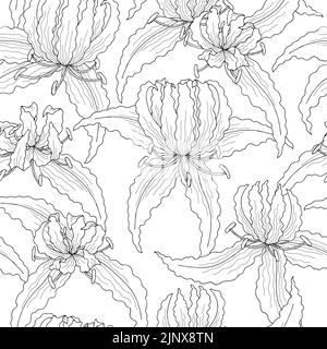 Gloriosa fleur sans couture motif graphique fond noir blanc esquisse illustration vecteur Illustration de Vecteur