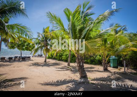 Restaurant italien Bacco Beach Banque D'Images