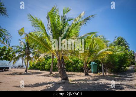 Restaurant italien Bacco Beach Banque D'Images