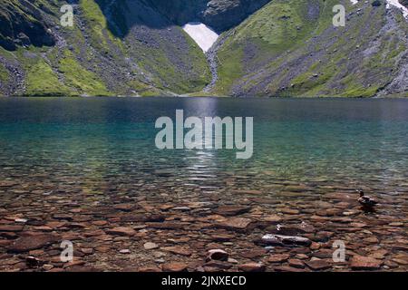 Un canard dans les eaux azur de Czarny Staw Pod Rysamy lac près de Morskie Oko et Zakopane, Pologne Banque D'Images