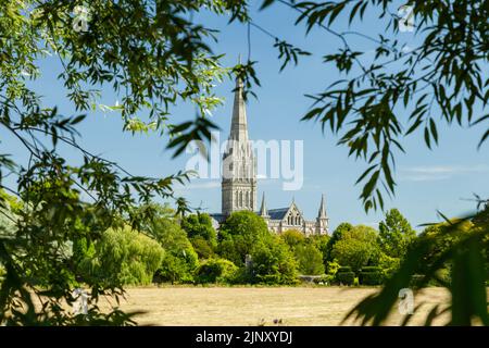 Après-midi d'été à la cathédrale de Salisbury, Salisbury, Wiltshire, Angleterre. Banque D'Images
