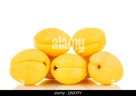 Plusieurs abricots jaune vif juteux d'ananas, macro, isolés sur un fond blanc. Banque D'Images