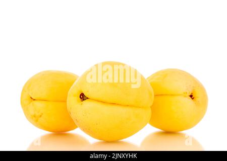 Trois abricots jaune vif juteux d'ananas, macro, isolés sur un fond blanc. Banque D'Images