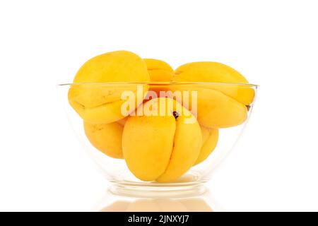 Plusieurs abricots jaune vif juteux d'ananas dans un bol en verre, macro isolé sur un fond blanc. Banque D'Images