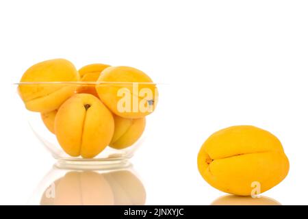 Plusieurs abricots jaune vif juteux d'ananas dans un bol en verre, macro isolé sur un fond blanc. Banque D'Images