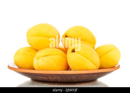 Plusieurs abricots jaune vif juteux d'ananas dans une poterie, macro, isolés sur un fond blanc. Banque D'Images