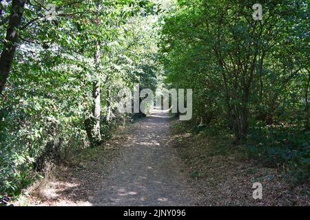 Sentier de randonnée Rheinsteig Banque D'Images