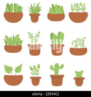Ensemble d'illustrations vectorielles de la maison avec conception simple. Plantes d'origine dans des pots décoratifs. Illustration de Vecteur