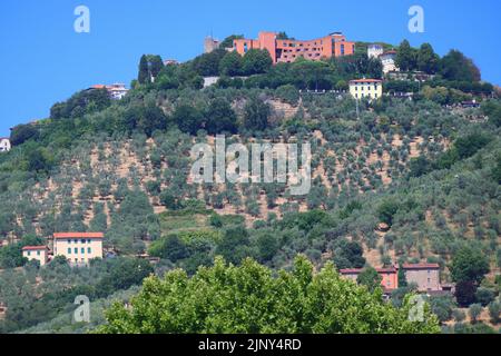 Vue sur Montecatint Alto lors d'une Sunny journée d'été. Tuscany, Italie. Banque D'Images