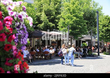 Jolis cafés sur Piata Unirii, la place de l'Union à Cluj-Napoca, la capitale historique de la Transylvanie, Roumanie Banque D'Images