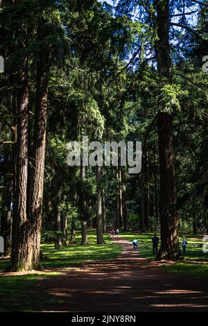 Mt. Parc Tabor à Portland, Oregon Banque D'Images