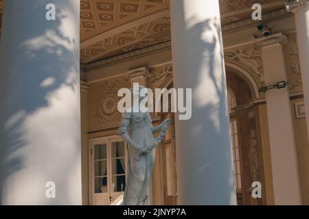 Ombres des arbres sur un mur laqué Banque D'Images