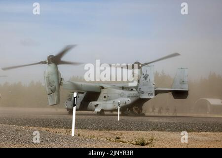 Les Marines des États-Unis affectés à l'équipe d'atterrissage du Bataillon 2/6, 22nd Marine Expeditionary Unit (MEU), quittent une MV-22 Osprey pour effectuer la récupération tactique d'aéronefs et de personnel (PIÈGE) formation à Syndalen, Finlande, 10 août 2022. La mission DE PIÉGEAGE faisait partie d'un exercice bilatéral entre les forces armées finlandaises et le MEU de 22nd. Le Kearsarge Amphiobie Ready Group et 22nd MEU, sous le commandement et le contrôle de Task Force 61/2, sont en cours de déploiement prévu dans la zone d'opérations de la U.S. Naval Forces Europe, employée par la U.S. Sixth Fleet pour défendre l'intérêt des États-Unis, des alliés et des partenaires. (É.-U. Phot du corps marin Banque D'Images