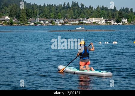 Issaquah, Washington, États-Unis. Femme s'agenouillant sur son paddleboard, pagayant le long du lac Sammamish. Banque D'Images