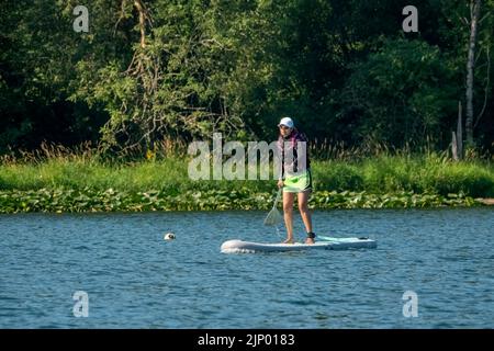 Issaquah, Washington, États-Unis. Femme debout paddleboard sur le lac Sammamish. Banque D'Images