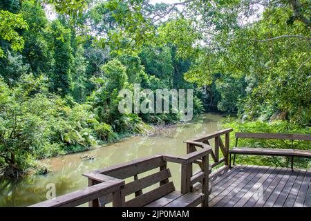 La vue du parc national de Khao Yai, établi en 1962 comme premier parc national de Thaïlande, c'est le troisième plus grand parc national de Thaïlande. Banque D'Images