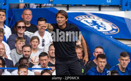 Londres, Royaume-Uni. 15th août 2022. Antonio Conte Gestures, directeur de Tottenham Hotspur, lors du match de la première ligue anglaise entre Chelsea et Tottenham Hotspur à Londres, en Grande-Bretagne, le 14 août 2022. Le jeu s'est terminé par un tirage de 2-2. Credit: Xinhua/Alay Live News Banque D'Images