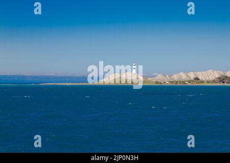 Un regard sur la vie en Nouvelle-Zélande: Cape Campbell, Île du Sud, Nouvelle-Zélande. Banque D'Images