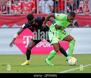 Munich, Allemagne. 14th août 2022. Alphonso Davies (L) du Bayern Munich rivalise avec Ridle Bakou de Wolfsburg lors de leur match de football allemand de première division Bundesliga à Munich, Allemagne, 14 août 2022. Credit: Philippe Ruiz/Xinhua/Alay Live News Banque D'Images