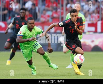 Munich, Allemagne. 14th août 2022. Jamal Musiala (R) du Bayern Munich rivalise avec Ridle Bakou de Wolfsburg lors de leur match de football allemand de première division Bundesliga à Munich, Allemagne, 14 août 2022. Credit: Philippe Ruiz/Xinhua/Alay Live News Banque D'Images