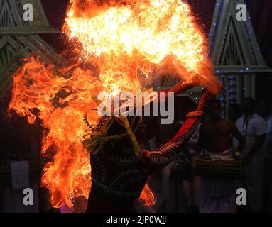 Colombo, Sri Lanka. 14th août 2022. Une danseuse traditionnelle sri-lankaise se produit lors de la cérémonie traditionnelle du rituel 'Gammaduwa' dans le village de Nawagamuwa près de Colombo sur 13 août 2022. Parmi les yatukarma détenus dans les régions du pays bas du Sri Lanka, le Gammaduwa Shanthikarma est un des plus importants yatukarma visant à la prévention des maladies et de la fertilité des Sri Lanka. Gammaduwa Shanthikarma a commencé dans la région de Ruwanwella sous le nom de 'devol Maduwa' pour un engin de prévention de la maladie. Il est devenu le principal Shanthikarma de la tradition de danse de bas pays composé des trois principales traditions de danse de Matara, Bent Banque D'Images