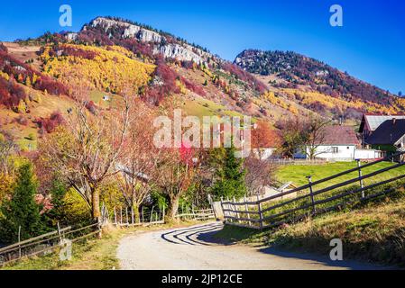 Carpathian Mountains. Rural belle automne couleurs paysage pittoresque dans le village de Magura, concept de voyage de la Roumanie. Banque D'Images