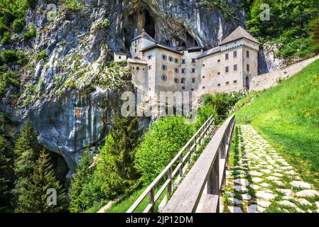 Château de Predjama, Slovénie. Célèbre château de 12th siècles, plus grande forteresse troglodytique au monde, voyage slovène naturel à l'arrière, région de Postojna. Banque D'Images