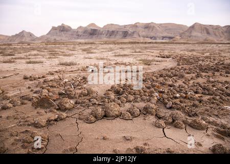 Boules de terre qui sont apparues après la pluie dans les montagnes. Banque D'Images