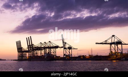 Le port animé d'Anvers montrant un horizon de grues et de bateaux à conteneurs au coucher du soleil Banque D'Images