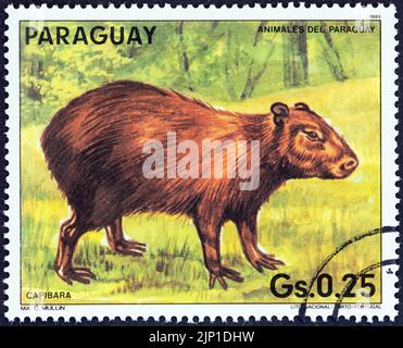 PARAGUAY - VERS 1985: Un timbre imprimé au Paraguay montre un Capybara (Hydrochoerus hydrochaeris), vers 1985. Banque D'Images