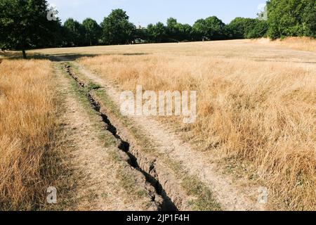 Alexandra Park, Londres, Royaume-Uni. 15th août 2022. Météo au Royaume-Uni : avertissements de sécheresse au Royaume-Uni. Conditions sèches à Alexandra Park, au nord de Londres. Crédit : Matthew Chattle/Alay Live News Banque D'Images