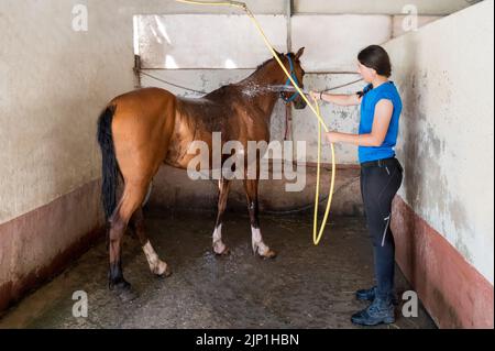 lavage, refroidissement, toilettage, lavage Banque D'Images