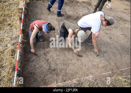 Helfta, Allemagne. 15th août 2022. Hanna Schelenhaus (l.), Pauline Schnitger et Robert Prust travaillent soigneusement dans le sol avec des grattoirs. De vastes fouilles archéologiques se poursuivent sur une superficie de 1 500 mètres carrés. Sur le site de l'ancien palais royal près de Helfta, des bâtiments administratifs seront découverts cette année. Credit: Heiko Rebsch/dpa/Alay Live News Banque D'Images