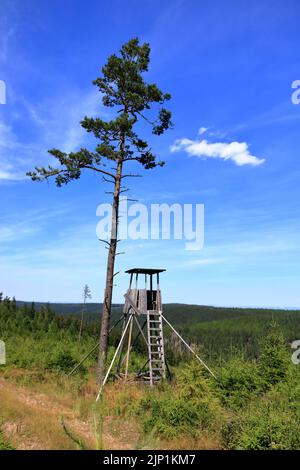Une tour de chasse dans la forêt. Tour de poteau de montre en bois Hunter Hide High. Point d'observation de Hunter dans la forêt en Europe Banque D'Images