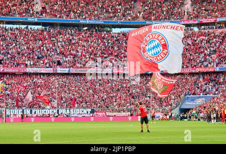 Munich, Allemagne. 14th août 2022. Fans avec drapeaux dans le match FC BAYERN MÜNCHEN - VFL WOLFSBURG 2-0 1.Ligue allemande de football le 14 août 2022 à Munich, Allemagne. Saison 2022/2023, match jour 2, 1.Bundesliga, FCB, München, 2.Spieltag © Peter Schatz / Alamy Live News - LA RÉGLEMENTATION DFL INTERDIT TOUTE UTILISATION DE PHOTOGRAPHIES comme SÉQUENCES D'IMAGES et/ou QUASI-VIDÉO - Banque D'Images