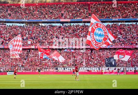 Munich, Allemagne. 14th août 2022. Fans avec drapeaux dans le match FC BAYERN MÜNCHEN - VFL WOLFSBURG 2-0 1.Ligue allemande de football le 14 août 2022 à Munich, Allemagne. Saison 2022/2023, match jour 2, 1.Bundesliga, FCB, München, 2.Spieltag © Peter Schatz / Alamy Live News - LA RÉGLEMENTATION DFL INTERDIT TOUTE UTILISATION DE PHOTOGRAPHIES comme SÉQUENCES D'IMAGES et/ou QUASI-VIDÉO - Banque D'Images