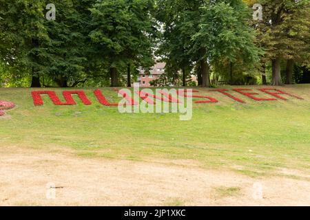 Muenster, Allemagne, 9 juillet 2022 Muenster écrit avec des fleurs rouges dans un parc idyllique le matin dans le centre-ville Banque D'Images