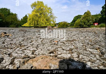 Brighton, Royaume-Uni. 15th août 2022. L'ancien étang Saxon au village de Falmer, à la périphérie de Brighton, est complètement asséché car la vague de chaleur et les conditions de sécheresse se poursuivent dans le Sud-est : Credit Simon Dack/Alamy Live News Banque D'Images