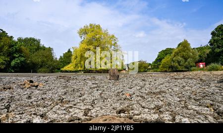 Brighton, Royaume-Uni. 15th août 2022. L'ancien étang Saxon au village de Falmer, à la périphérie de Brighton, est complètement asséché car la vague de chaleur et les conditions de sécheresse se poursuivent dans le Sud-est : Credit Simon Dack/Alamy Live News Banque D'Images