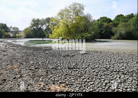 Brighton, Royaume-Uni. 15th août 2022. L'ancien étang Saxon au village de Falmer, à la périphérie de Brighton, est complètement asséché car la vague de chaleur et les conditions de sécheresse se poursuivent dans le Sud-est : Credit Simon Dack/Alamy Live News Banque D'Images