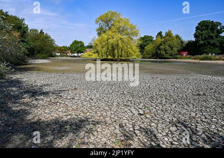 Brighton, Royaume-Uni. 15th août 2022. L'ancien étang Saxon au village de Falmer, à la périphérie de Brighton, est complètement asséché car la vague de chaleur et les conditions de sécheresse se poursuivent dans le Sud-est : Credit Simon Dack/Alamy Live News Banque D'Images