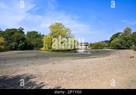 Brighton, Royaume-Uni. 15th août 2022. L'ancien étang Saxon au village de Falmer, à la périphérie de Brighton, est complètement asséché car la vague de chaleur et les conditions de sécheresse se poursuivent dans le Sud-est : Credit Simon Dack/Alamy Live News Banque D'Images