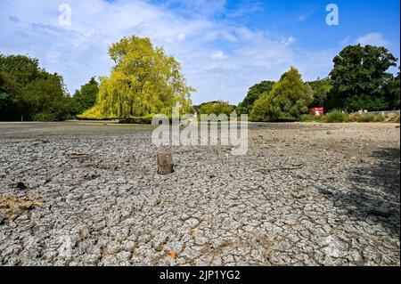 Brighton, Royaume-Uni. 15th août 2022. L'ancien étang Saxon au village de Falmer, à la périphérie de Brighton, est complètement asséché car la vague de chaleur et les conditions de sécheresse se poursuivent dans le Sud-est : Credit Simon Dack/Alamy Live News Banque D'Images