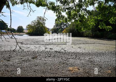 Brighton, Royaume-Uni. 15th août 2022. L'ancien étang Saxon au village de Falmer, à la périphérie de Brighton, est complètement asséché car la vague de chaleur et les conditions de sécheresse se poursuivent dans le Sud-est : Credit Simon Dack/Alamy Live News Banque D'Images